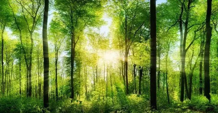 常州涂料網 常州涂料網