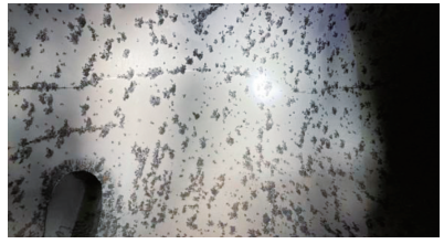 常州涂料網 常州涂料網